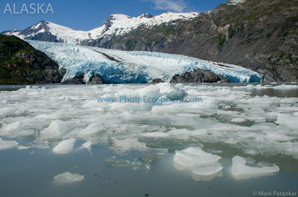 Alaska-Photo-Gallery-406.jpg