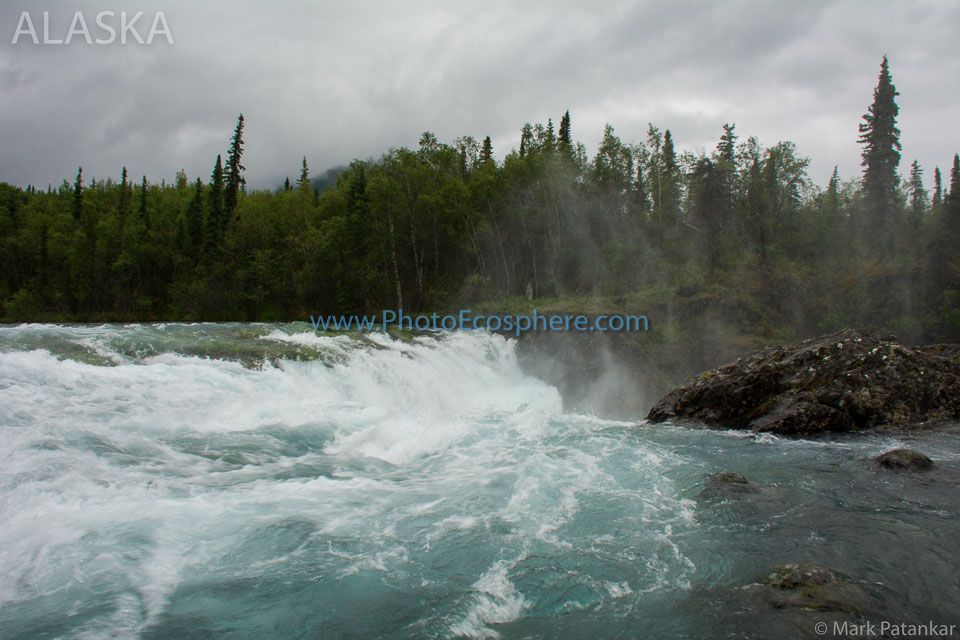 Alaska-Photo-Gallery-409.jpg