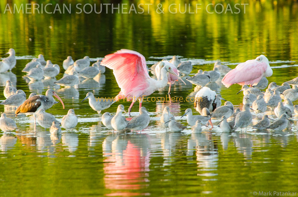American-Southeast---Gulf-Coast-Photo-Gallery-29.jpg
