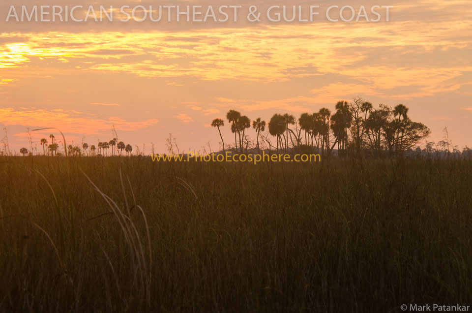 American-Southeast---Gulf-Coast-Photo-Gallery-334.jpg
