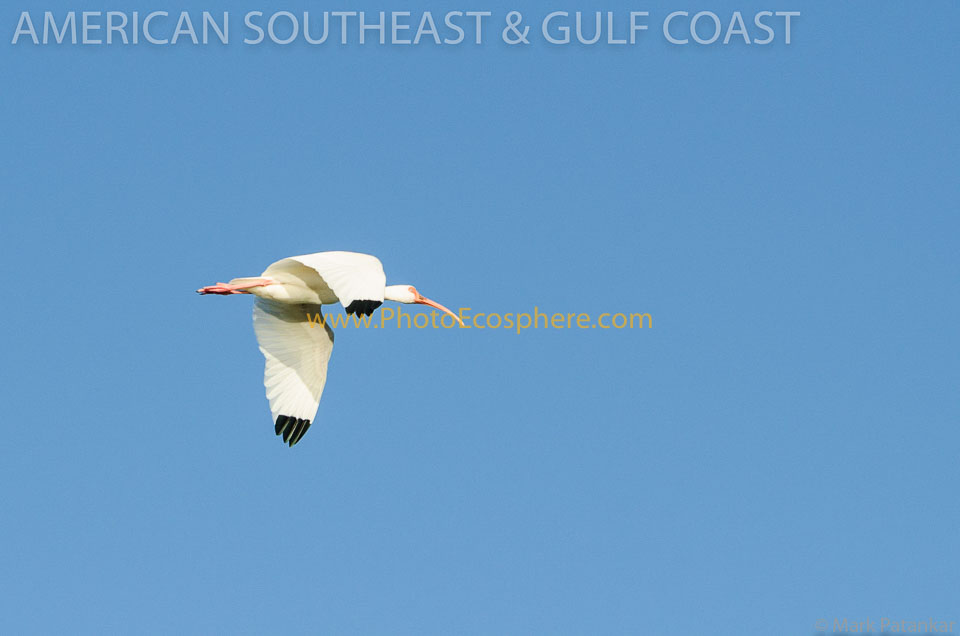 American-Southeast---Gulf-Coast-Photo-Gallery-36.jpg