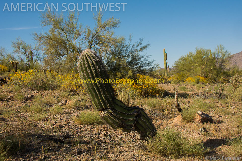 American-Southwest-Photo-Gallery-408.jpg