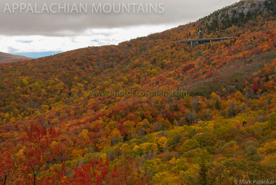 Appalachian-Mountains-Photo-Gallery-13.jpg