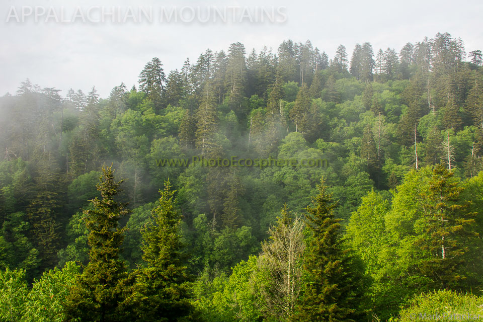 Appalachian-Mountains-Photo-Gallery-193.jpg