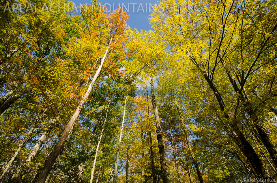 Appalachian-Mountains-Photo-Gallery-357.jpg