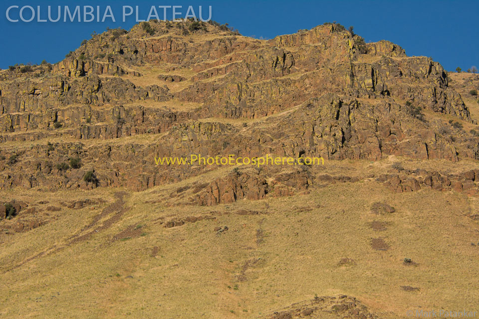 Basin---Range---Columbia-Plateau-Photo-Gallery-102.jpg