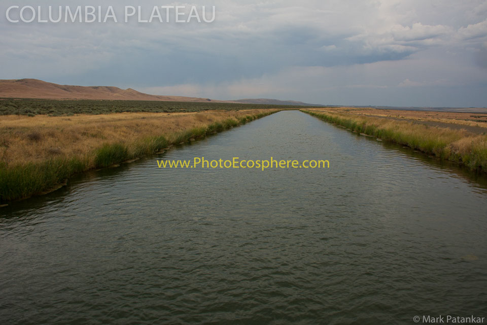 Basin---Range---Columbia-Plateau-Photo-Gallery-170.jpg