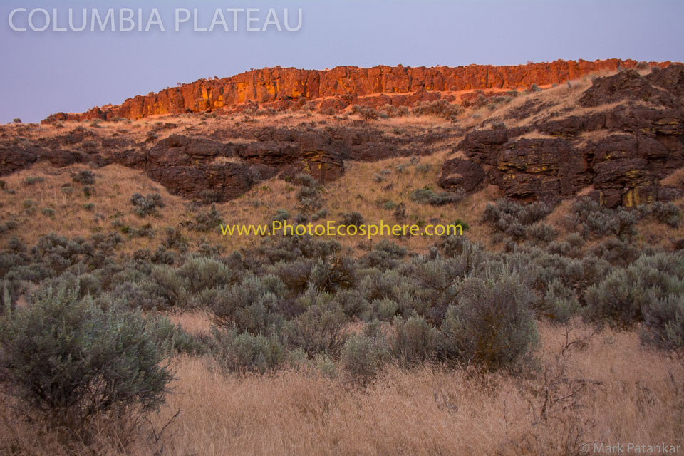 Basin---Range---Columbia-Plateau-Photo-Gallery-193.jpg