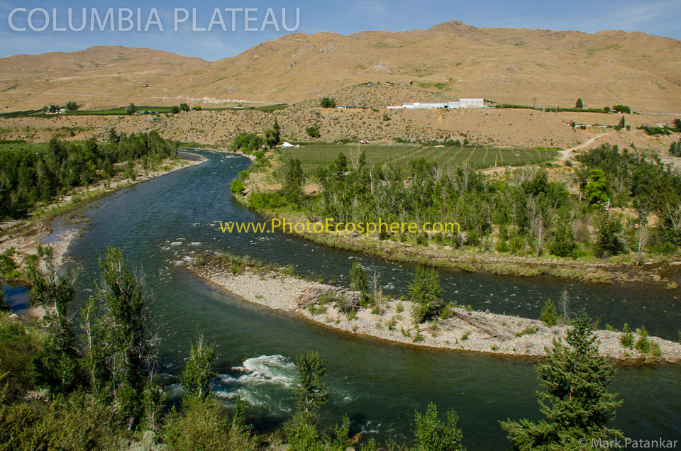 Basin---Range---Columbia-Plateau-Photo-Gallery-202.jpg