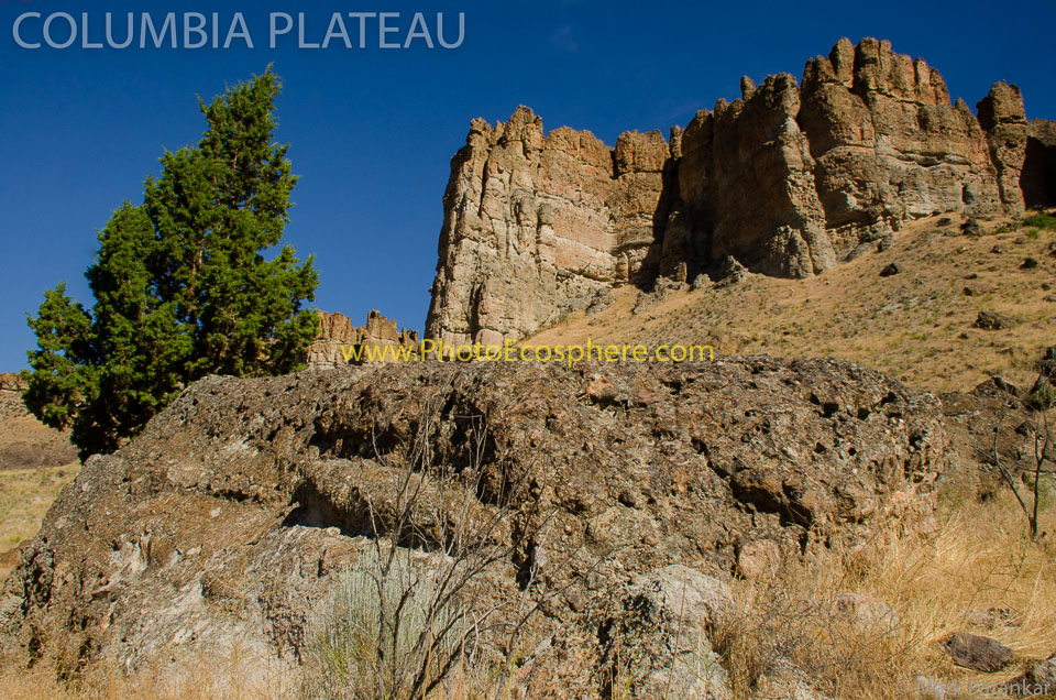 Basin---Range---Columbia-Plateau-Photo-Gallery-214.jpg