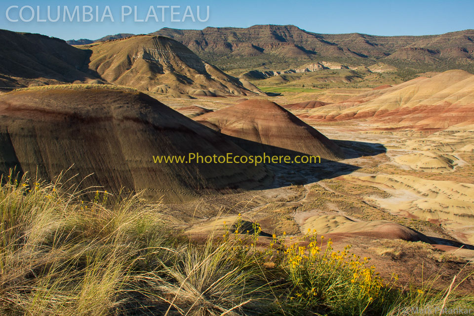 Basin---Range---Columbia-Plateau-Photo-Gallery-78.jpg