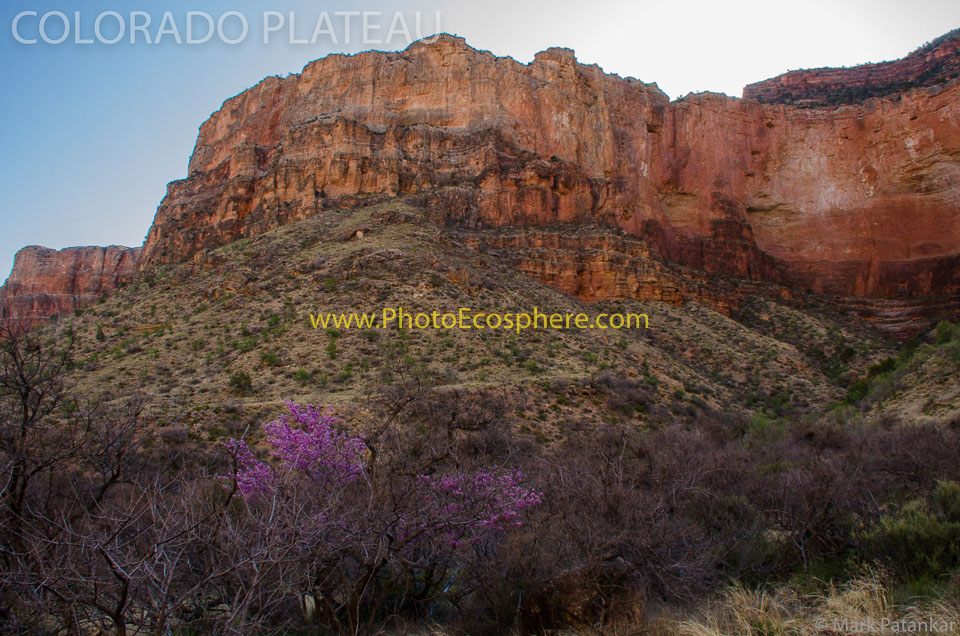 Colorado-Plateau-Photo-Gallery-10.jpg