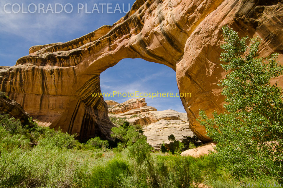 Colorado-Plateau-Photo-Gallery-305.jpg
