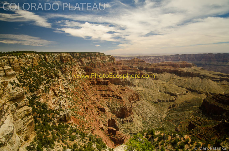 Colorado-Plateau-Photo-Gallery-323.jpg
