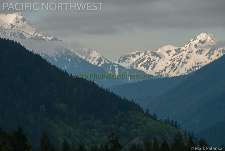 Pacific-Northwest-Photo-Gallery-5.jpg