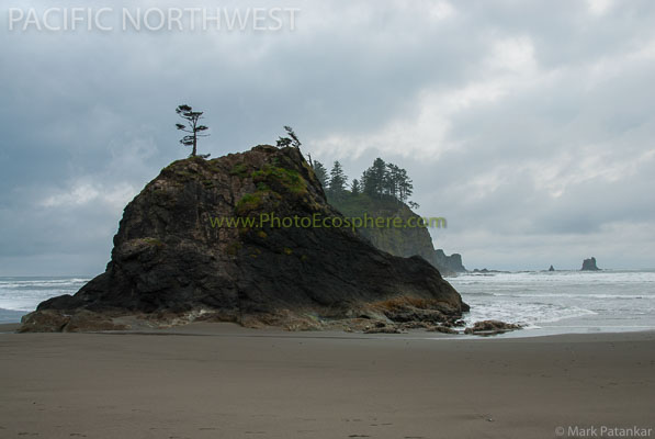 Pacific-Northwest-Photo-Gallery-11.jpg