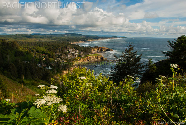 Pacific-Northwest-Photo-Gallery-19.jpg