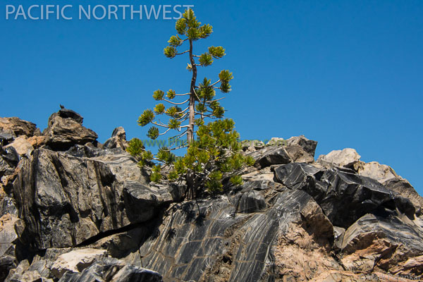 Pacific-Northwest-Photo-Gallery-228.jpg