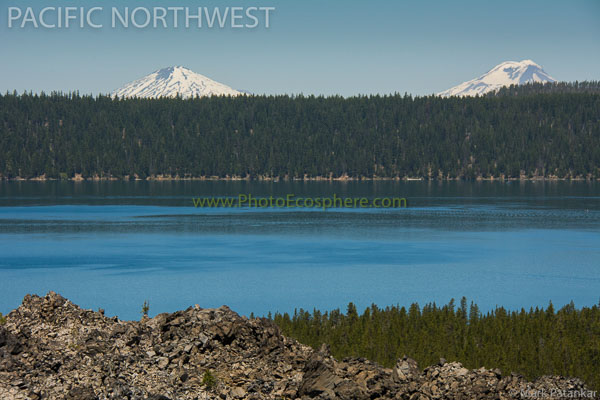 Pacific-Northwest-Photo-Gallery-233.jpg