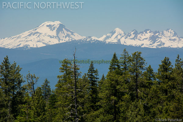 Pacific-Northwest-Photo-Gallery-246.jpg