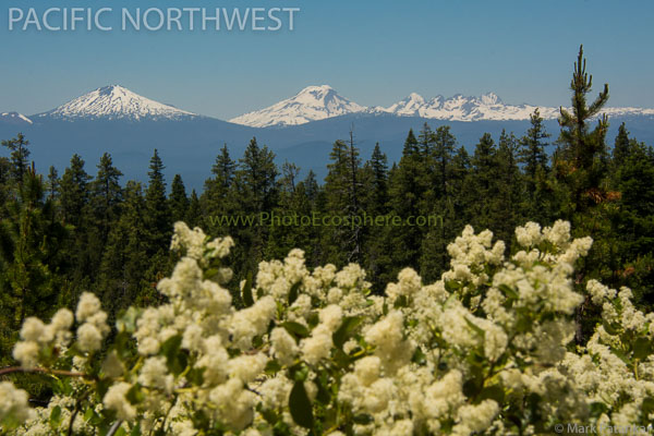Pacific-Northwest-Photo-Gallery-247.jpg
