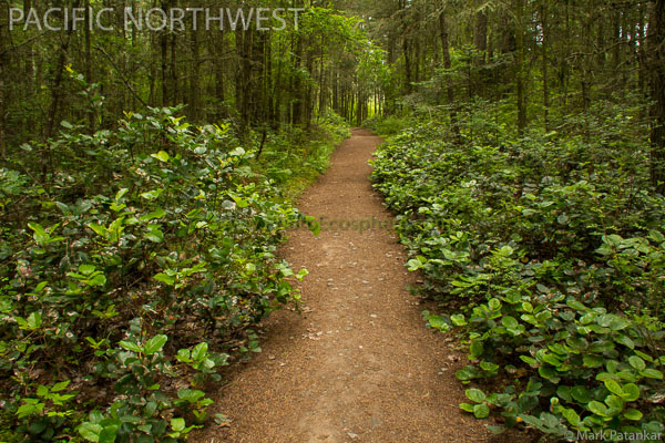 Pacific-Northwest-Photo-Gallery-312.jpg