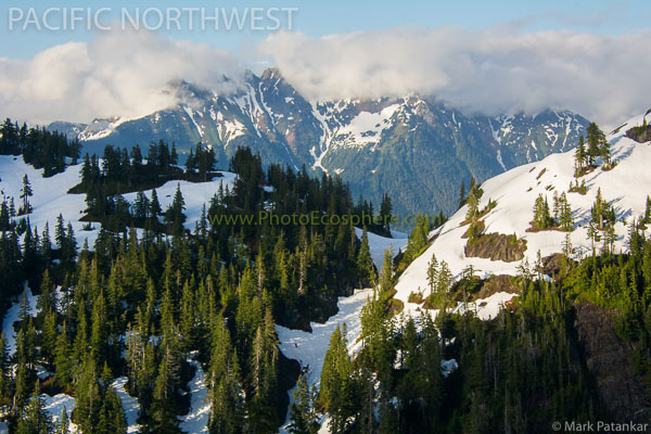 Pacific-Northwest-Photo-Gallery-331.jpg