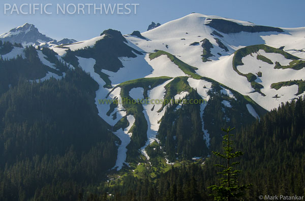 Pacific-Northwest-Photo-Gallery-346.jpg