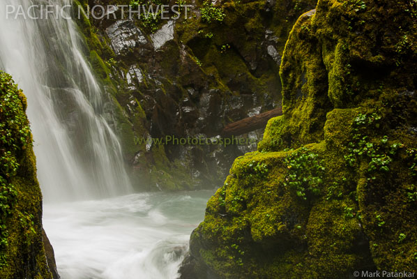 Pacific-Northwest-Photo-Gallery-51.jpg