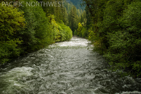 Pacific-Northwest-Photo-Gallery-71.jpg