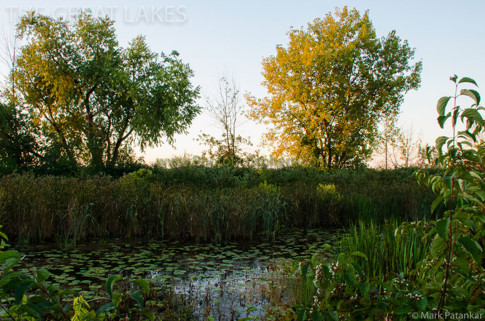Great-Lakes-Photo-Gallery-158.jpg