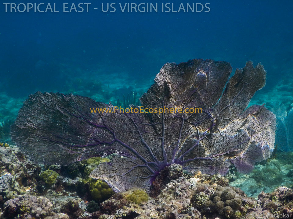 Virgin Islands National Park