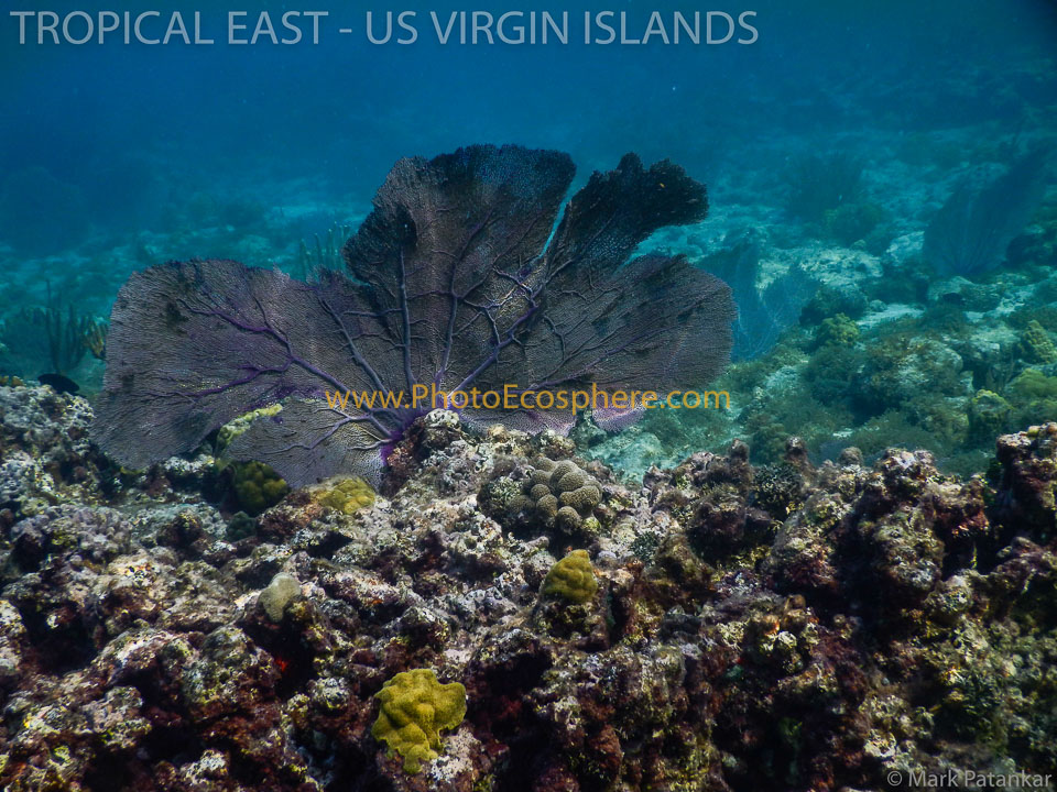Virgin Islands National Park