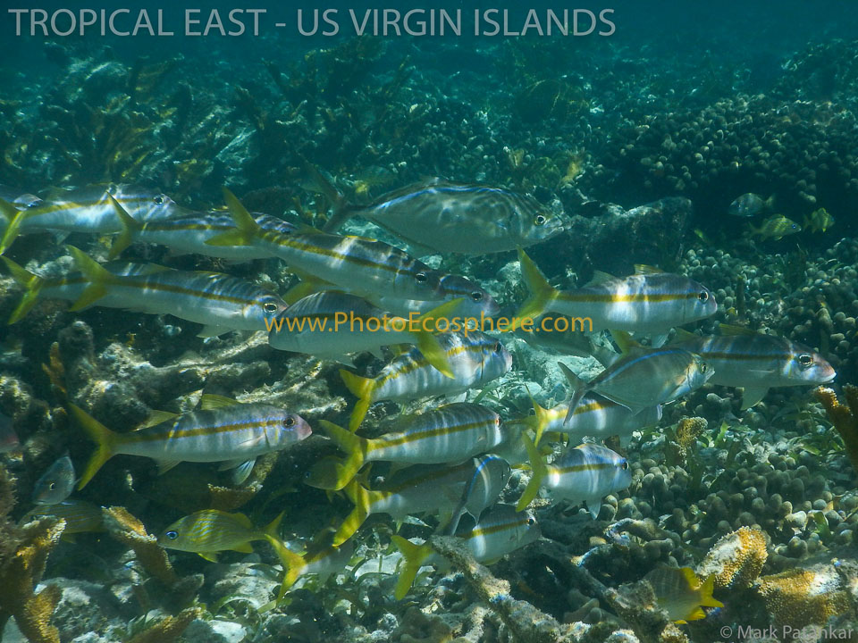 Virgin Islands National Park