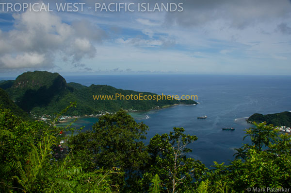 Tropical-West-Pacific-Islands-Photo-Gallery-274.jpg