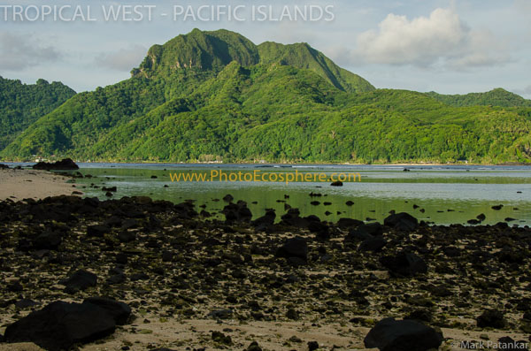 Tropical-West-Pacific-Islands-Photo-Gallery-281.jpg