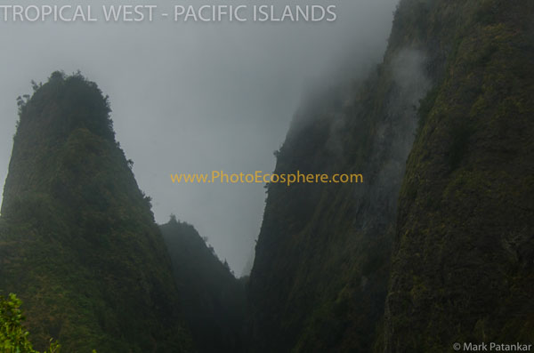 Tropical-West-Pacific-Islands-Photo-Gallery-444.jpg