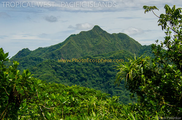 Tropical-West-Pacific-Islands-Photo-Gallery-488.jpg
