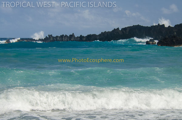 Tropical-West-Pacific-Islands-Photo-Gallery-507.jpg