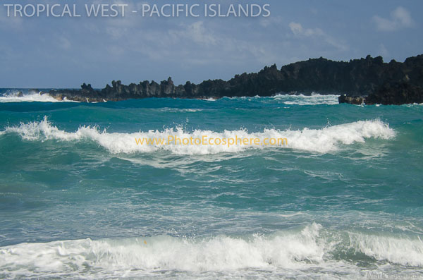 Tropical-West-Pacific-Islands-Photo-Gallery-508.jpg