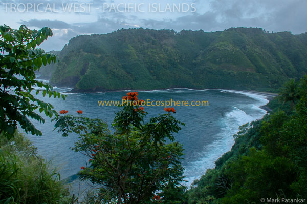 Tropical-West-Pacific-Islands-Photo-Gallery-510.jpg