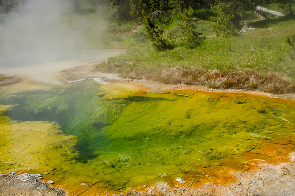 Geothermal-Features-69.jpg