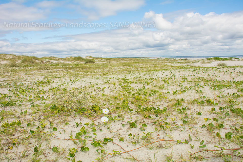 Sand-Dunes-48.jpg