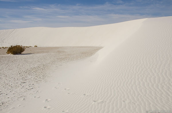 Sand-Dunes-16.jpg