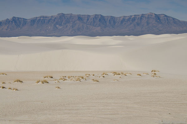 Sand-Dunes-18.jpg