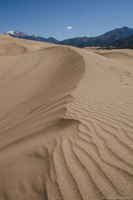 Sand-Dunes-27.jpg