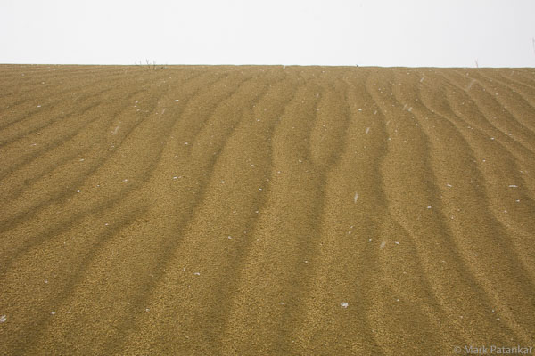 Sand-Dunes-37.jpg