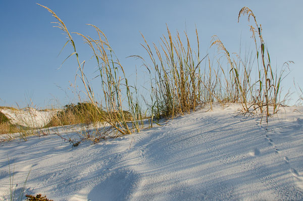 Sand-Dunes-56.jpg