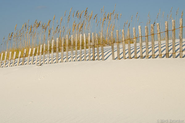 Sand-Dunes-58.jpg