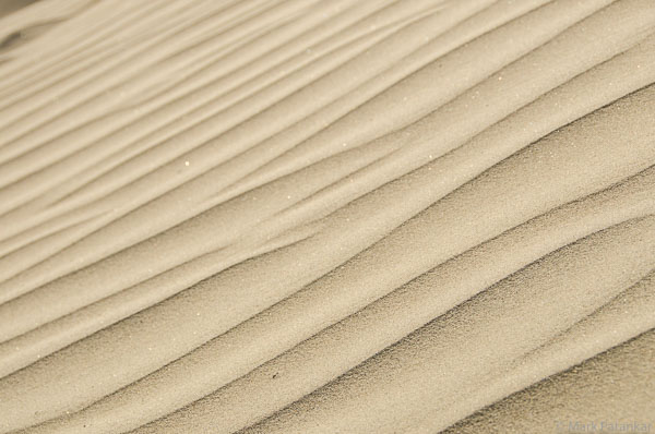 Sand-Dunes-6.jpg